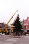First Christmas tree of the Europe Place.