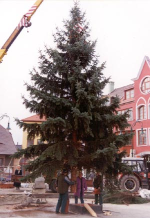 Das erste Weihnachtsbaum des Europa Platzes.