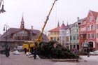 Das erste Weihnachtsbaum des Europa Platzes.