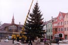 First Christmas tree of the Europe Place.