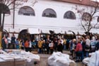 Weihnachtslieder gesungen von Schüler der Komensky-Grundschule unter der Leitung von Fr. Maria Vörös.