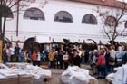 Weihnachtslieder gesungen von Schler der Komensky-Grundschule unter der Leitung von Fr. Maria Vrs.