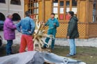 Das Dach des Hauses