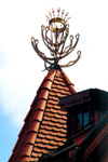 The Tree of Life on the Hungarian House